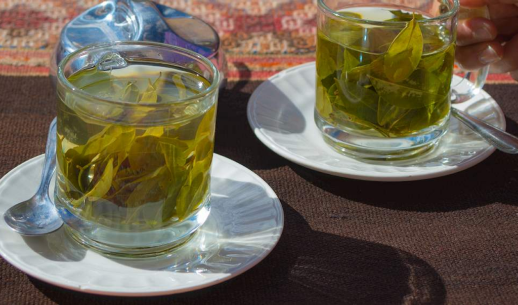 caoca tea