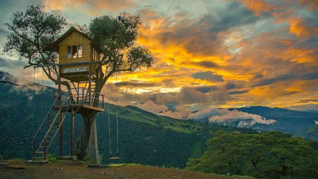 Casa del Árbol