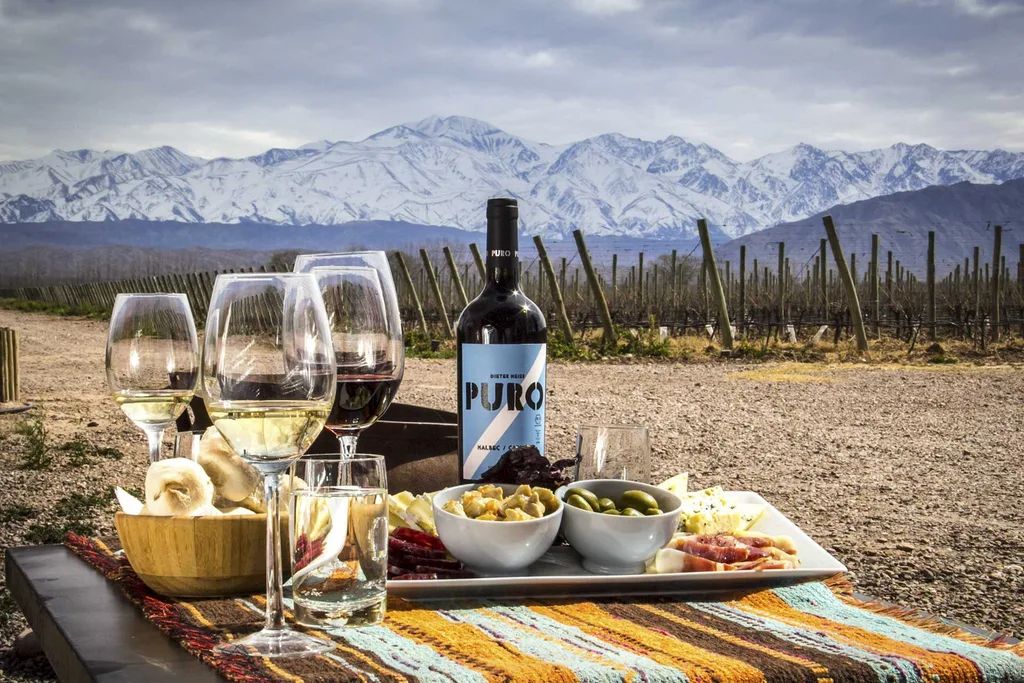 Mendoza wine