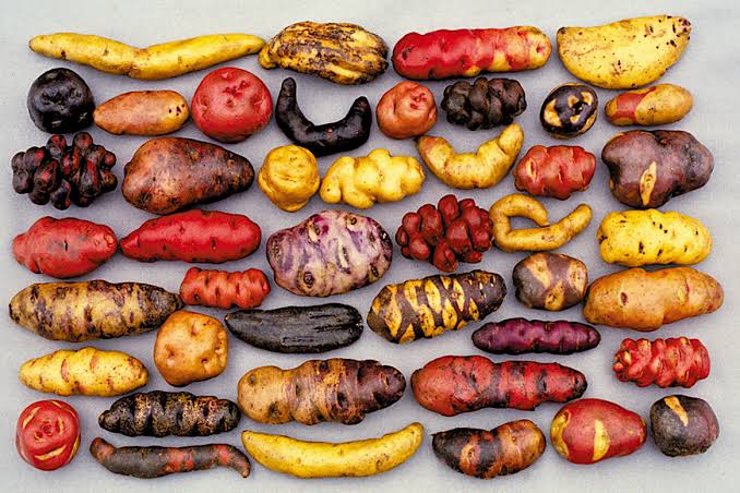 Potatoes